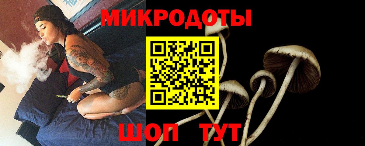 Галлюциногенные грибы прущие грибы Рассказово